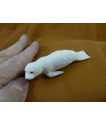 SEAL-w17) little white swimming Seal shed ANTLER figurine Bali detailed pup - $137.17 CAD