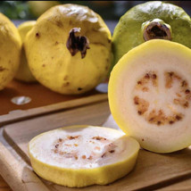 50 Mexican Cream Guava Seeds Planting Gardening USA SHIPPING - $12.96