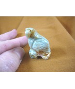 y-bir-pa-9) PARROT Macaw bird gray white gemstone SOAPSTONE carving I lo... - $12.28 CAD