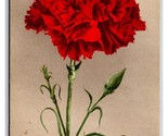 Red Carnation Flower Blossoms UNP Unused DB Postcard H29 - $2.92