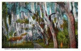 Garnett Orange Grove Drive St Augustine Florida Postcard Posted 1929 - £28.28 GBP
