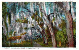 Garnett Orange Grove Drive St Augustine Florida Postcard Posted 1929 - £26.86 GBP