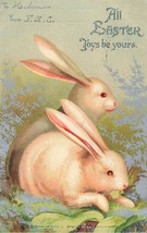 All Easter Joys Be YOURS-PAIR Of Cute RABBITS~1906 German Postcard - £7.96 GBP