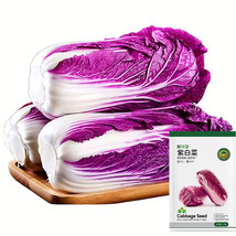 Goodidea - Jingyan® Red Napa Cabbage 10 Seeds - £3.73 GBP