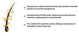 TRISSOLA True Trial Size Keratin Solution Kit image 2
