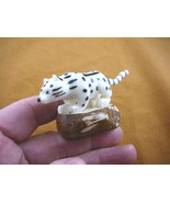 (TNE-LES-411) Snow leopard Wild TAGUA NUT palm Figurine carving I love l... - $39.73 CAD