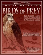 Illustrated Birds of Prey: Red-Tailed Hawk, American Kestral, &amp; Peregrin... - £27.75 GBP
