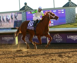 Item image 1 image 1