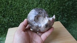 Item image 11
