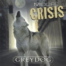 Grey dog midlife crisis thumb200