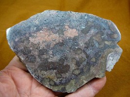 (DF-376-10) 13 oz Fossil REAL DINOSAUR Bone cabbing slab lapidary I love dinos - £61.79 GBP