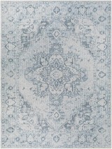Ankti Aqua Washable Area Rug Medium Pile Traditional Design in Blue Off ... - $24.80+