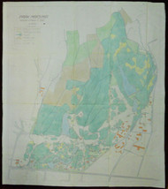 1951 GIANT Maksimir Park Map Zagreb Colored Croatia Detailed Plants Plan - £360.49 GBP