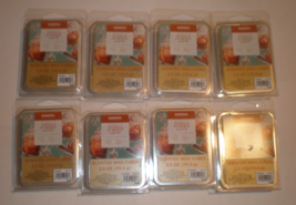 Vanilla Pumpkin Latte Wax Melts Scent Pumpkin Warm Vanilla &amp; Expresso Fits Glade - £27.96 GBP