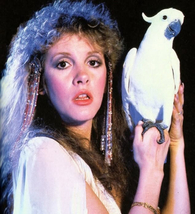 STEVIE NICKS 4x6 PHOTO - $2.55