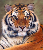 Siberian Tiger Cross Stitch Pattern***L@@K*** - £2.36 GBP