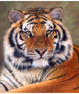 Siberian Tiger Cross Stitch Pattern***L@@K*** - $55.22 MXN