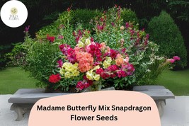 Antirrhinum majus Madame Butterfly Mix Snapdragon Seeds – 1000+ Double-P... - $21.74 CAD
