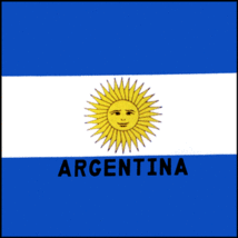 ARGENTINA FLAG BANDANA Cotton Scarves Scarf Head Hair Neck Band Skull Wrap - $9.99
