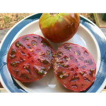 50 Seeds Tasmanian Chocolate Tomato Vegetable Garden - £7.84 GBP