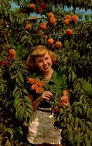 A Peach Among The Peaches -Fruit Vintage Chrome Postcard blk46 - £7.12 GBP