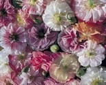 400 + Pure  Seeds Angel&#39;S Choir Poppy Flowers Garden - Ts - $6.58