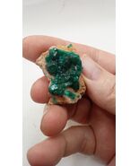 Dioptase Stunning Mineral Specimen - Congo ~ - $53.45