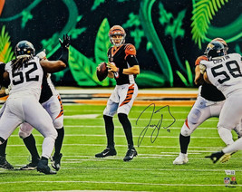 JOE BURROW Autographed Bengals &#39;Pocket&#39; 16&quot; x 20&quot; Photograph FANATICS - £235.83 GBP