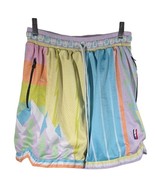 Trillest Who Cares Pastel Shorts Mens Medium Mesh Multicolor NBA Rainbow... - $44.55