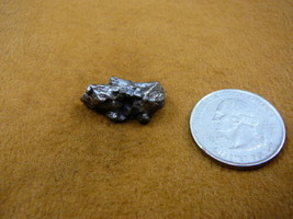 (x262-312) 8 g Campo del Cielo iron meteorite 1576 octahedrite fragment ... - $19.62
