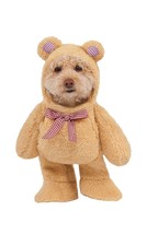 Walking Teddy Bear Pet Costume - $25.64