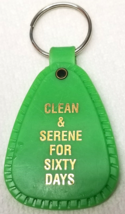 Clean Serene 60 Days Keychain Narcotics Anonymous Logo Green Plastic Vin... - £9.63 GBP