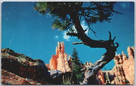 Vintage Postcard Queen&#39;s Garden Bryce National Park Utah Colorful Rocks Nature S - $14.45