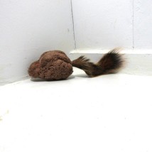 QuakerMaid VooDoo Dolls and Catnip Toys &quot;Squirrelly&quot; the Squirrel-Tail Catnip To - £13.31 GBP