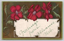 Alliance Nebraska Pretty Red Flower Greetings 1908 To Long Pine NE Postcard A34 - £7.06 GBP