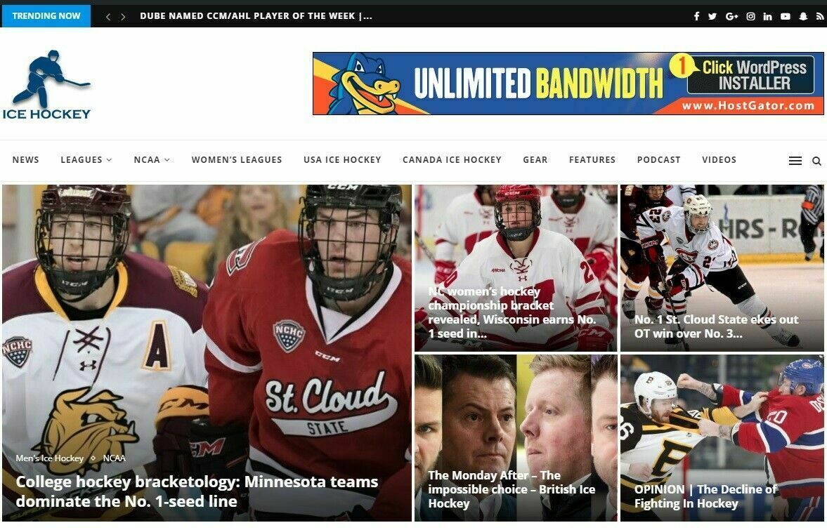 Automated Ice Hockey News Wordrpess Website - Turnkey Autopilot Site - $14.08