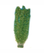 Plastic Plant Bush (Xlarge) - Cabomba 37cm - $18.68