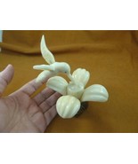 TNE-BIR-HU-12b) Hummingbird bird  flower TAGUA NUT figurine carving humm... - $46.64