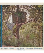 Vtg Stereoview Pine Hills Cuamaka Mountains California Tree House - $12.82