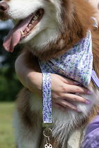 Lavender Blooms Dog Bandana and Keychain Ensemble - £27.01 GBP