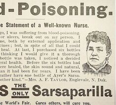 1895 Ayer&#39;s Sarsaparilla Quack Medicine Victorian Blood Poisoning Advert... - $19.99