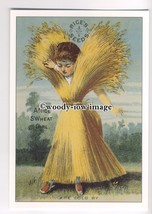 ad0437 - Rice&#39;s Seeds - A Nice Swheat Girl! - Modern Advert Postcard - £1.99 GBP