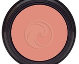 Gabriel Cosmetics Inc. Blush Petal, 0.1 Ounces - $21.20