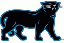 AA Carolina Panthers NFL Football Logo Poster Art Decor 12x8in Metal Sig... - $24.74