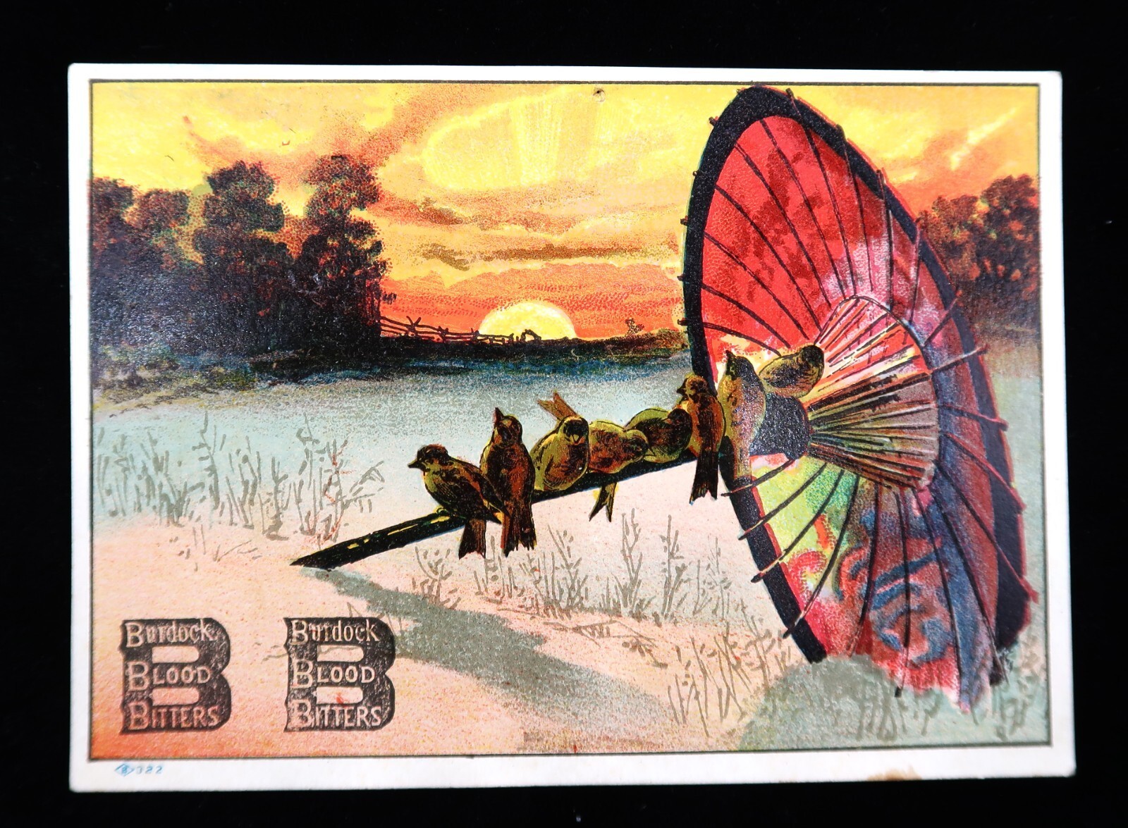 Antique 1800's Victorian Trade Card Burdock Blood Bitters Chateaugay Ore & Iron - $49.99
