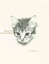 #112 SHORT HAIR TABBY KITTEN * cat art print * pen &amp; ink drawing by Jan ... - $12.50