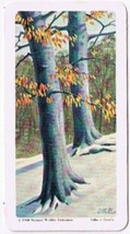 Brooke Bond Red Rose Tea Card #27 Beech Trees Of North America - £0.75 GBP