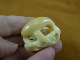 (tb-whal-30) baby Beluga Whale Tagua NUT palm figurine Bali carving love... - £31.38 GBP