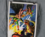 Vintage DC Poster - Hawkman and Hawkgirl 1978 DC Poster Book - Paper Poster - £27.73 GBP