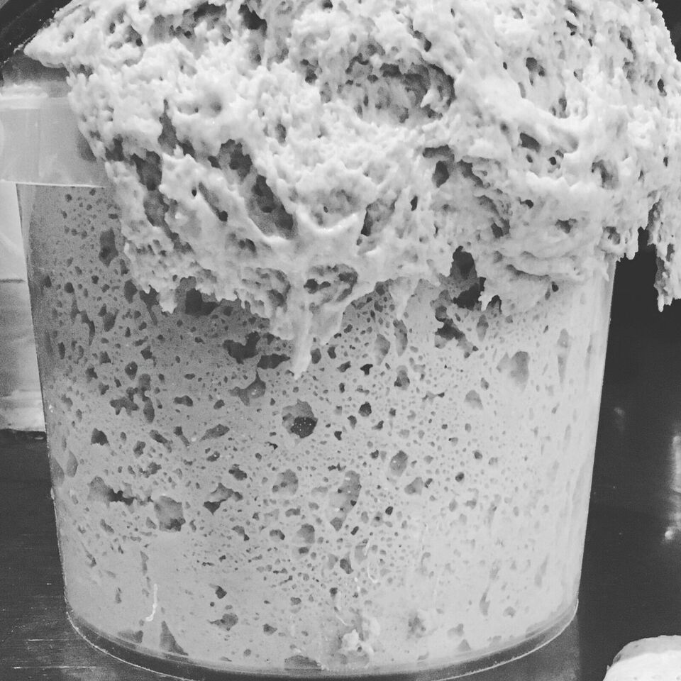 Primary image for 100 YEAR OLD SAN FRANCISCO SOURDOUGH STARTER YEAST SALLY CRAZY ACTIVE TANGY OLD